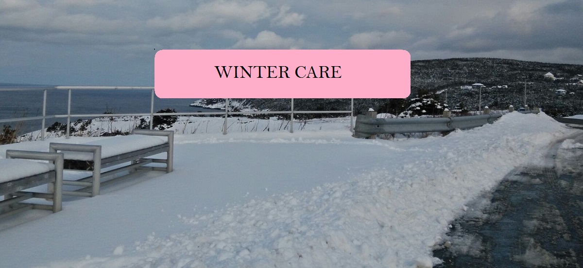 Winter Care For your Skin, Hair & Body