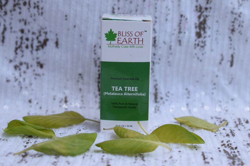 Bliss Of Earth Tea Tree Essential Oil