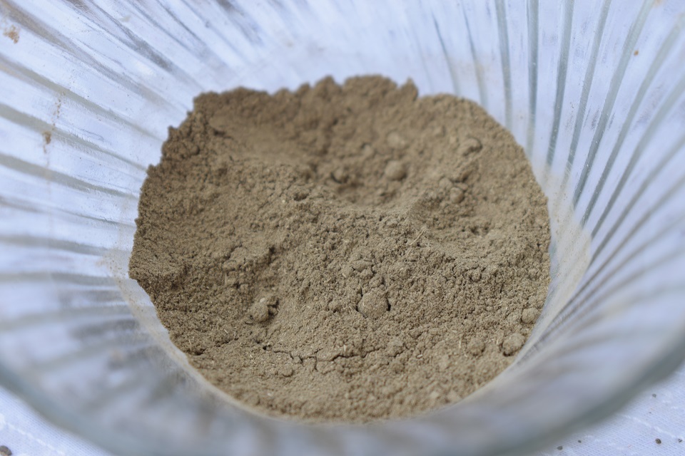 Bliss Of Earth 100% Pure Natural Bhringraj Powder - Texture