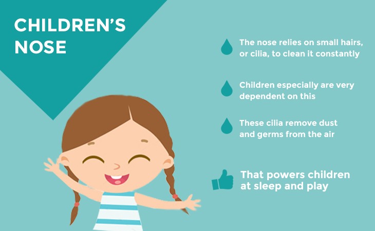Infographic - How Children's Nose Work?