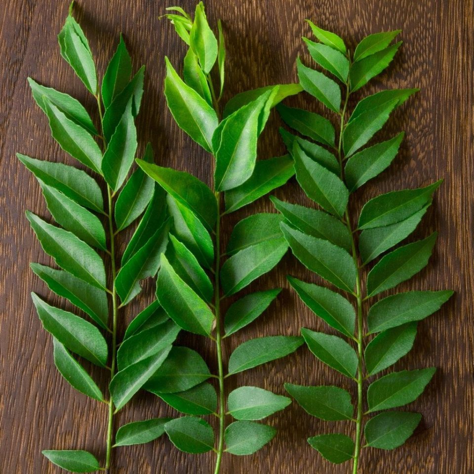Stop Hair Loss With Curry Leaves
