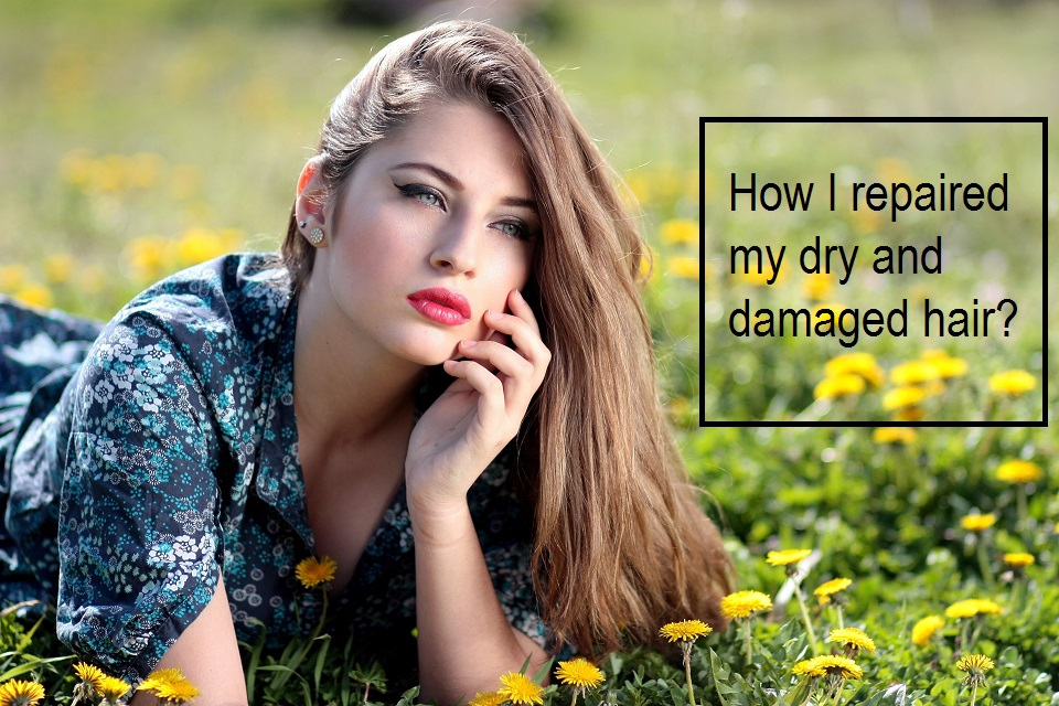 Hpw To Repair Dry Damaged Hair